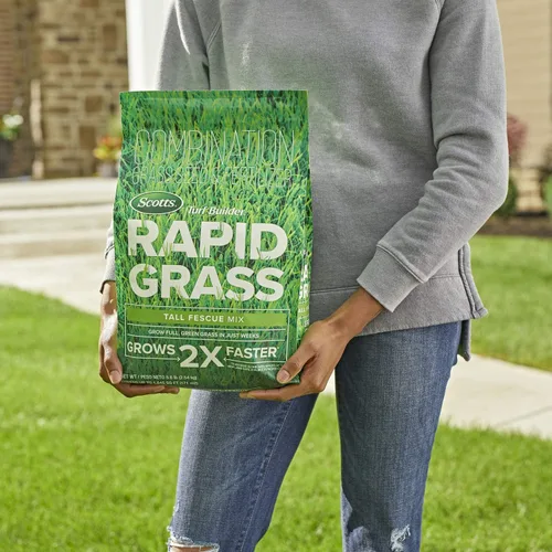 Miniatura 4 de Scotts Turf Builder Rapid Grass - Mezcla de festuca alta, combinación de semillas de césped y fertilizante, cultiva césped verde en solo semanas
