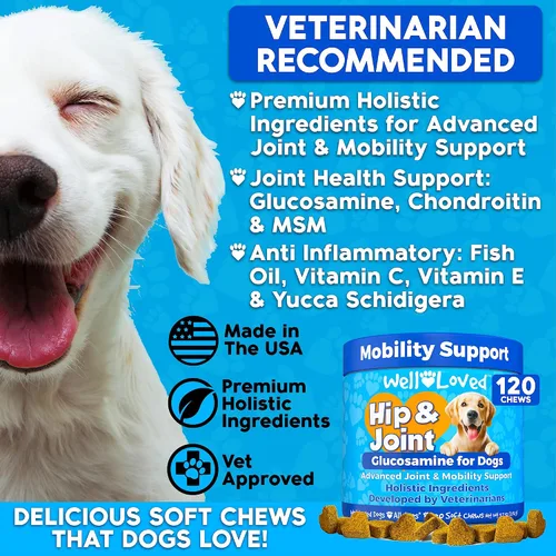 Miniatura 3 de Well Loved Glucosamina para perros - Suplemento articular para perros, fabricado en Estados Unidos, desarrollado por veterinarios, condroitina