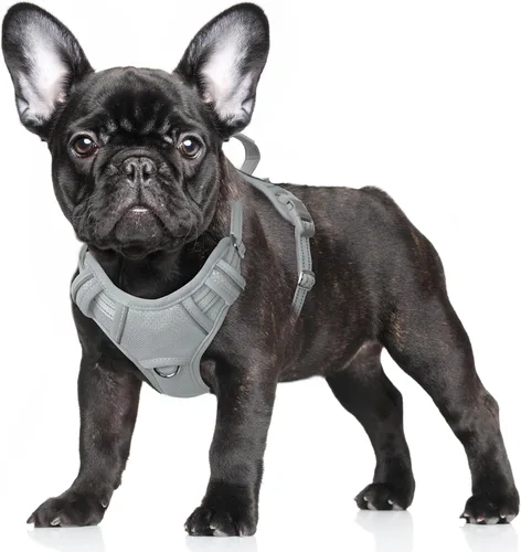 Miniatura 101 de BARKBAY Arnés para Perro Sin Tirones Talla Grande Arnés Reflectante para Perro con Clip Frontal y Asa de Control Fácil para Caminar Entrenar Correr
