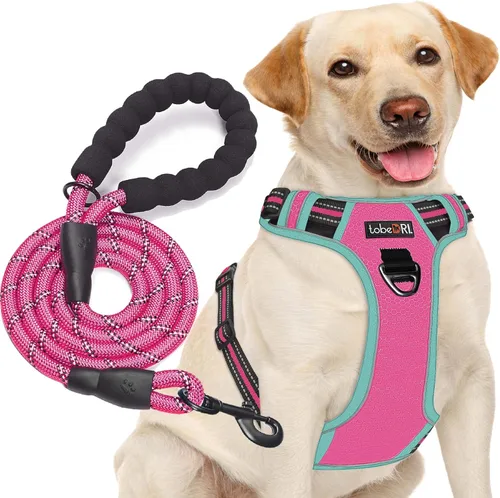 TobeDRI - Arnés antitirones para perro, ajustable, reflectante, tela Oxford fácil de controlar, para perros medianos y grandes con una correa de 5