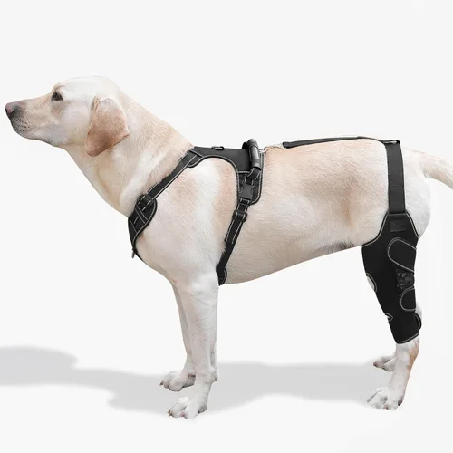 Miniatura 11 de Rodillera para perro con soporte ajustable – Recuperación de desgarros ACL y CCL, estabilización poscirugía, ayuda de movilidad para piernas