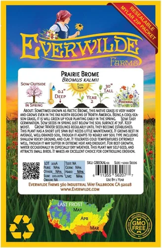 Miniatura 2 de Everwilde Farms - 1000 semillas de hierba nativa Prairie Brome - Paquete de semillas jumbo Gold Vault