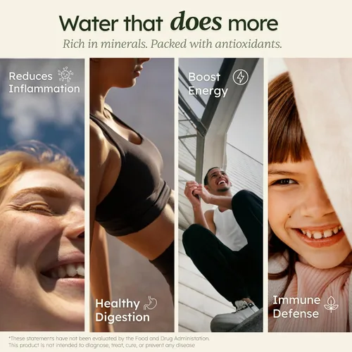 Miniatura 4 de Máquina de agua alcalina IVYEL PL fabricada en Corea, ionizador de agua, produce agua alcalina pH 8.5-10.0/agua ácida/agua de hidrógeno/filtro