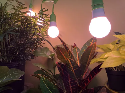 Miniatura 4 de Craft - Bombilla LED de espectro rojo con flor de fuego, reemplazo de 150 W