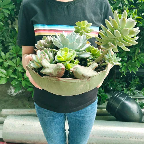 Miniatura 6 de NWFashion Decoración Maceta de cerámica de 10 pulgadas Plantador verde al aire libre interior plantación de flores suculentas