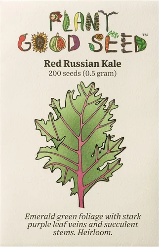 Miniatura 5 de Plant Good Seed Black Magic Lacinato - Semillas de col rizada, paquete de 150, semillas tradicionales para plantar verduras, suministros