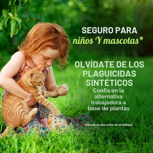 Miniatura 6 de Repelente de roedores con aceite de menta de Mighty Mint – Spray repelente natural para interiores y exteriores contra ratones y ratas – Fórmula