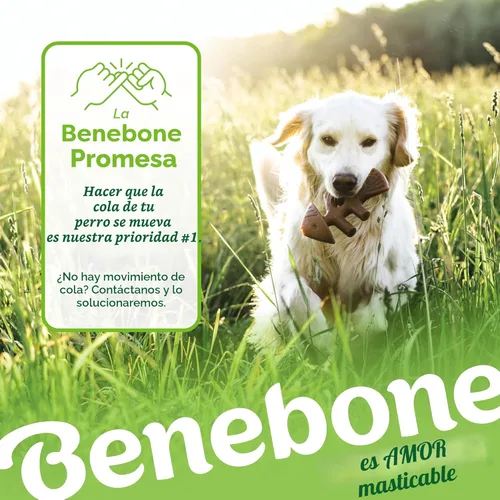 Miniatura 7 de Benebone - Paquete de 4 juguetes para masticar pequeños para perros agresivos, fabricados en Estados Unidos, para perros de 13.6 kg y menos