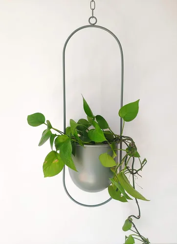 Miniatura 3 de RISEON Colgador de Plantas de Metal Verde Boho, Maceta Colgante de Metal para Pared y Techo, Maceta Moderna, Soporte de Maceta de Flores de Mediados