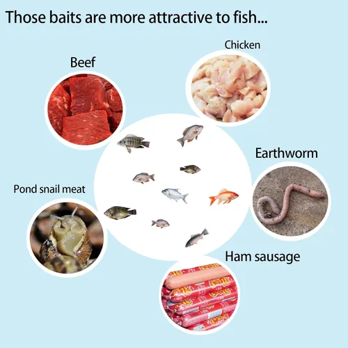 Miniatura 5 de Portable and Plastic Aquarium Minnow&Small Fish Trap for Aquarium Children Fishing Outdoors,Durable Container Bait Trap Suitable for