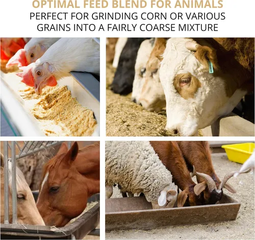 Miniatura 6 de Molino de grano de hierro de mano, molino manual, molinillo de alimentos, molinillo de maíz para grietas de mano, granos de manivela, avena, maíz