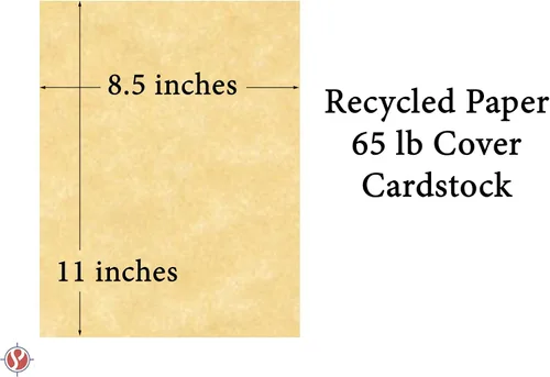 Miniatura 5 de New Champagne Stationery - Papel reciclado de pergamino, cartulina de cubierta de 65 libras, 8.5 x 11 pulgadas, 50 hojas por paquete Nuevo Champagne