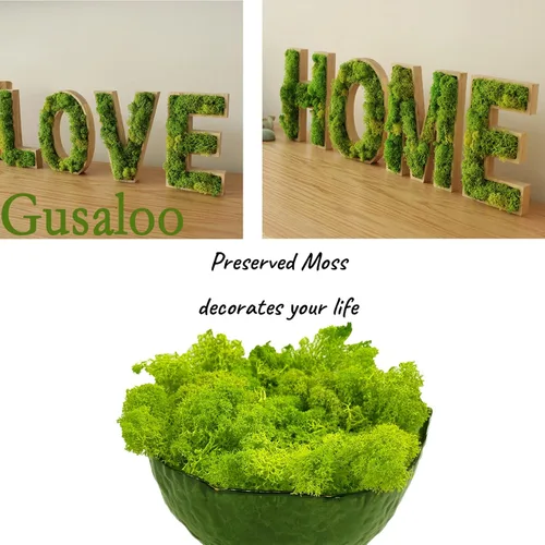 Miniatura 3 de Musgo preservado artificial de Gusaloo para plantas en maceta, musgo natural fresco verde para manualidades, artes, proyectos florales, decoración