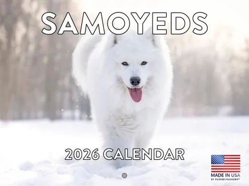 Miniatura 152 de Calendario de pared mensual 2025 Great Dane de 12 meses, fabricado en Estados Unidos
