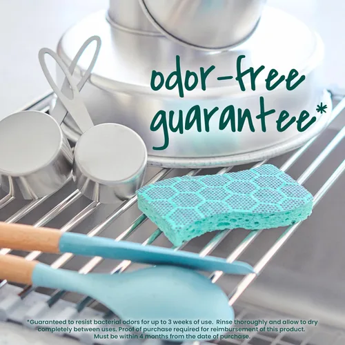 Miniatura 5 de Scotch-Brite - Esponjas resistentes para restregar con resistencia a los olores, aptas para lavavajillas, esponjas de cocina para fregado intenso