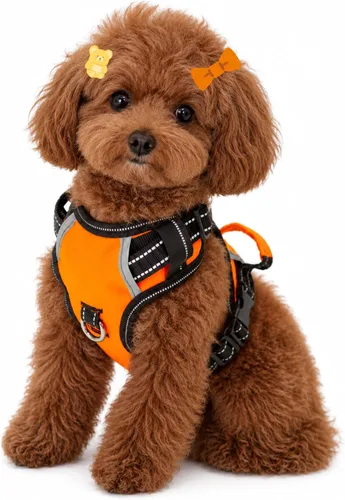 Miniatura 14 de Arnés antitirones para perro pequeño con 2 hebillas de liberación rápida y mango de fácil control, chaleco suave reflectante sin estrangulamiento