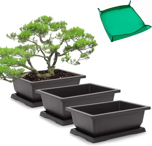 Miniatura 9 de GROWNEER 3 Macetas para Bonsái de 6.5 Pulgadas con Bandejas de Drenaje y Humedad y 1 Alfombrilla de Trasplante, Maceta de Entrenamiento para Árbol