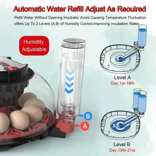 Miniatura 6 de Incubadora de huevos 12-24 con giro automático de huevos y control de humedad, recarga de agua, vela de huevos, incubadoras para incubar pollo