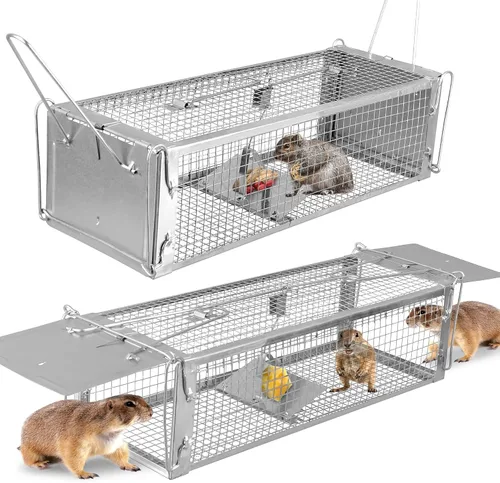 Miniatura 16 de Trampa de jaula de animales vivos de 31 pulgadas, trampa plegable resistente para gatos callejeros, mapaches, ardillas, zorrillos, marmotas, topos