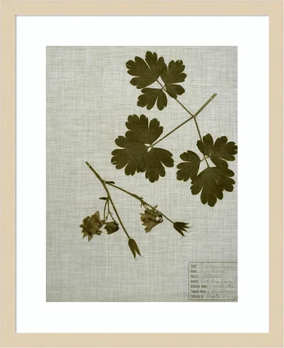 Miniatura 15 de Amanti Art Vision Studio - Lienzo decorativo para pared, 36 x 30 pulgadas, hojas prensadas en lino I por Vision Studio, arte de pared de naturaleza