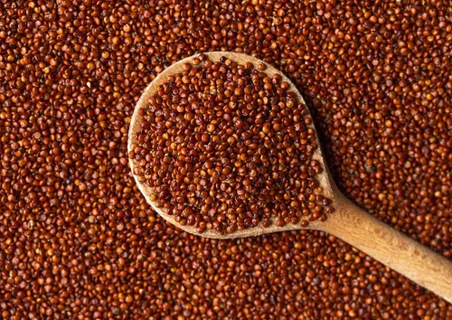 Miniatura 5 de Food to Live Quinua roja, 12 onzas de semillas integrales antiguas, crudas, germinables, kosher, veganas, sirtfood, a granel. Cocción rápida