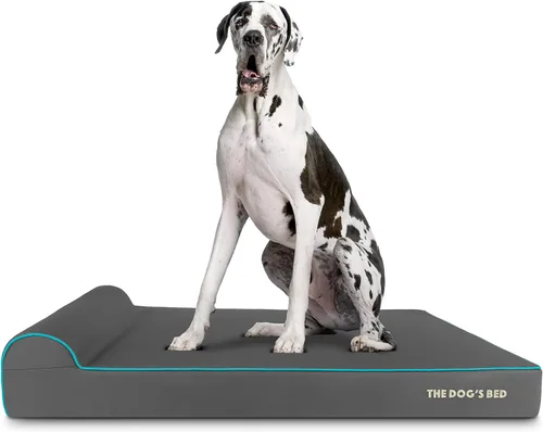 Miniatura 20 de The Dog's Bed - Cama Ortopédica para Perros con Reposacabezas XL Negra de Felpa, Espuma Viscoelástica, Alivio del Dolor para Artritis, Displasia