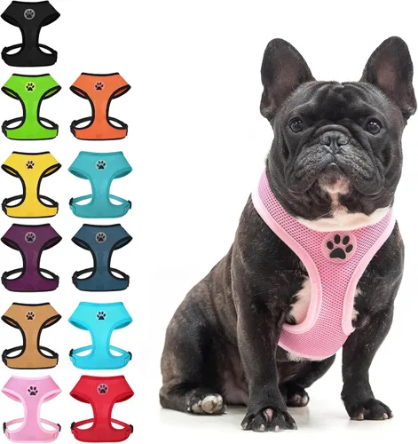 Miniatura 8 de BINGPET Arnés para perro sin tirones, arnés de chaleco tipo step-in de malla para todo clima para perros pequeños, arnés de malla transpirable