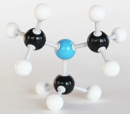 Miniatura 6 de Kit de estudiante modelo de química orgánica - (125 piezas) - MM-003