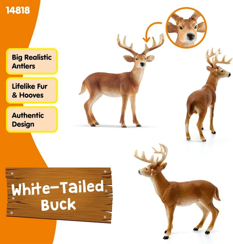 Miniatura 2 de Schleich Wild Life, Figura de Animal, Juguetes de Animales para Niños y Niñas de 3-8 Años de Edad, Venado de Cola Blanca, Edades 3+
