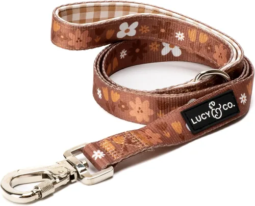 Miniatura 5 de Correa para perros de diseño Lucy & Co. - Accesorios para mascotas - Correa gruesa para perros - Asa acolchada para mayor comodidad - Entre