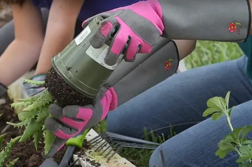 Miniatura 9 de G & F Products Florist Pro - Guantes de jardinería de rosa, palma de cuero sintético, protección contra espinas, manga larga