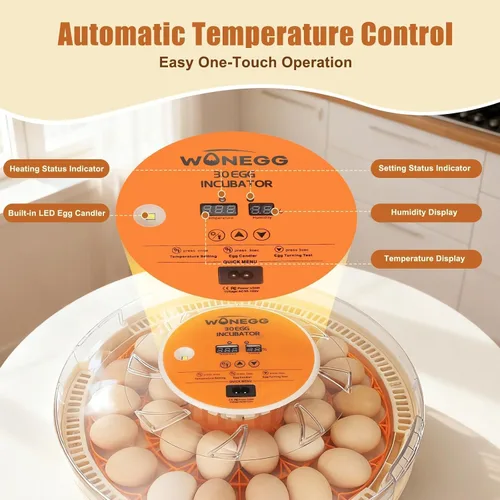 Miniatura 4 de Gen IV - Incubadora de 30 huevos, humedad de amplio rango con llenado manual de agua, control de temperatura estable, ranuras para huevos de doble