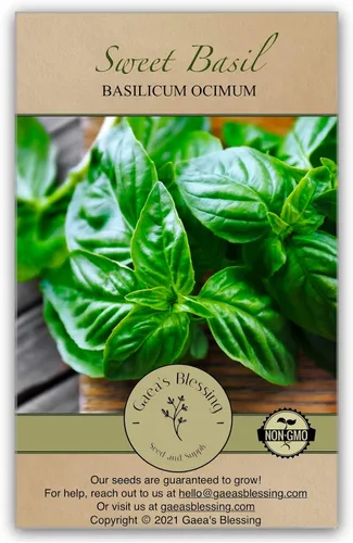 Gaea's Blessing Semillas – Semillas de albahaca dulce – Hoja grande italiana de hoja grande de Pesto genovés de polinización abierta de alto