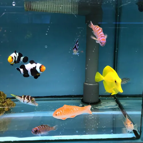 Miniatura 2 de Toddmomy Adorno flotante de peces para decoración de acuario, 3.85 x 1.41 x 1.25 pulgadas, adorable acento de pecera de cerámica con diseño realista