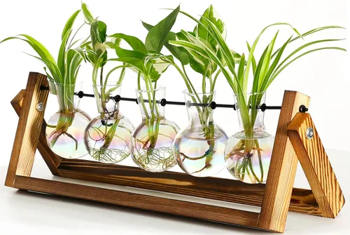 Miniatura 10 de XXXFLOWER Estaciones de propagación de terrarios de plantas, regalos únicos para mujeres, esposa, mamá, amantes de las plantas, 3 jarrones