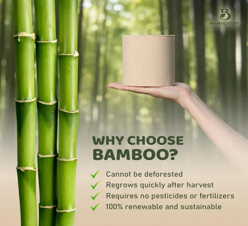 Miniatura 4 de Bamboo Story, Papel higiénico de bambú sin blanquear, 12 rollos, 3 capas y 300 hojas de papel higiénico de bambú, certificado FSC, biodegradable
