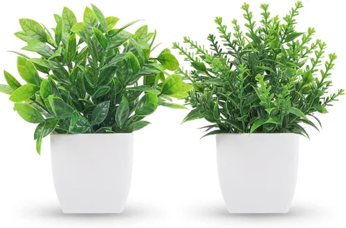 Der Rose - Paquete de 1 planta falsa y 2 paquetes de plantas falsas para habitación, hogar, oficina, casa de campo, decoración de baño