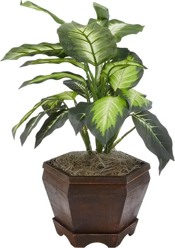 Miniatura 2 de Nearly Natural Dieffenbachia dorada con jarrón de madera Planta de seda