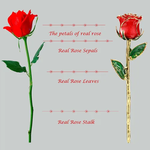 Miniatura 2 de Rosa de regalo para el día de San Valentín, rosa real bañada en oro es atractiva y forma natural, el mejor regalo para aniversario, boda, día de San