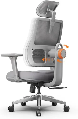 Newtral Silla de oficina con soporte lumbar, silla de escritorio ergonómica de respaldo alto con reposacabezas ajustable, reposabrazos 3D, Gris