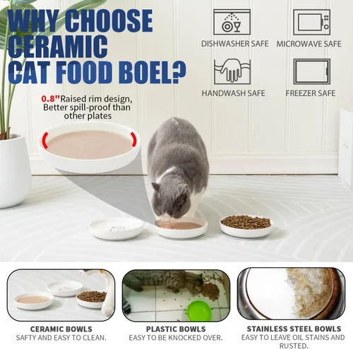 Miniatura 3 de Lusifaco - Cuencos poco profundos para comida de gato, tazón de cerámica de 5.9 pulgadas de ancho para gatos de interior, juego de platos para gatos