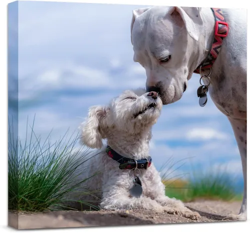 Miniatura 13 de Anjiefo Impresiones en lienzo personalizadas con tu foto, lienzo personalizado para pared, imprime tus fotos en lienzo, regalos para familiares