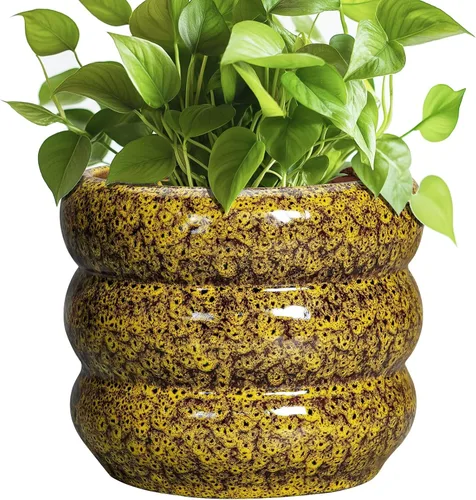 Miniatura 30 de Maceta de cerámica SQOWL para plantas de 8 pulgadas - Maceta de interior con orificio de drenaje para plantas de exterior, maceta floral moderna
