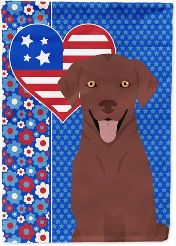 Miniatura 214 de Caroline's Treasures WDK5119GF - Bandera de jardín americana de Airedale Terrier de Estados Unidos, color negro y tostado, bandera decorativa