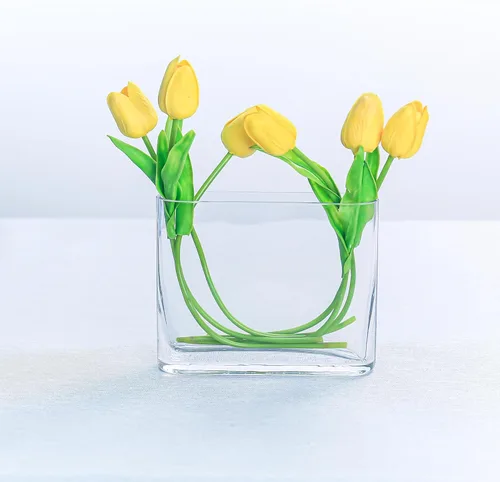 Miniatura 9 de CYS EXCEL Jarrón de Cristal para Libros (H:6" Apertura:7"x2") Jarrón de Flores Ovalado con Borde Redondo Rectangular Centro de Mesa para Bodas