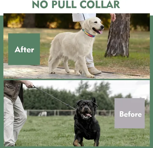 Miniatura 3 de Collar Martingale para perro, collar de entrenamiento para caminar sin tirones, collar táctico ajustable con hebilla de metal resistente, collar