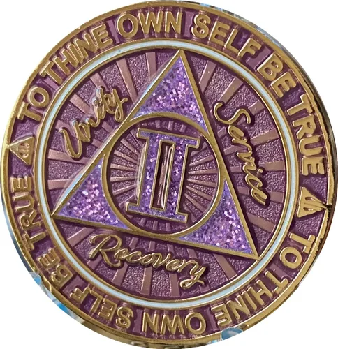 Miniatura 4 de 2 años AA Medallion Cosmic Purple Glitter Gold Plated Chip