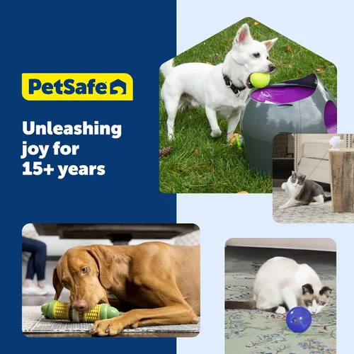 Miniatura 7 de PetSafe Busy Buddy Chompin' - Juguete de pollo para perros, reduce el aburrimiento, anillos de cuero crudo natural, goma sin BPA, apto