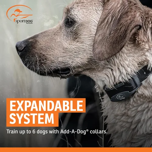 Miniatura 7 de SportDOG Brand SportTrainer 1275 - Entrenador remoto - Pantalla OLED brillante y fácil de leer - Rango de 3/4 millas - Collar de entrenamiento