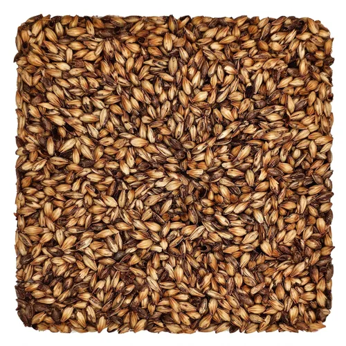 Miniatura 4 de Briess 2-Row Black Malt 500L - 1 lb